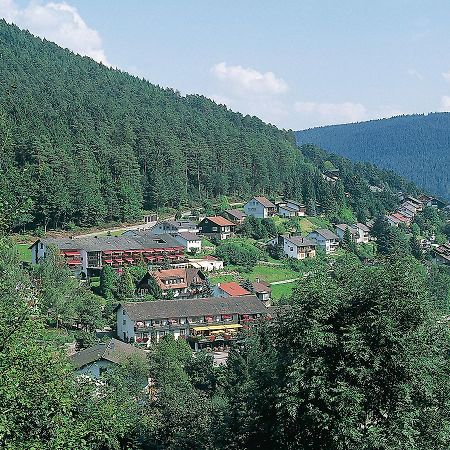 Hotel Waldlust Baiersbronn Extérieur photo
