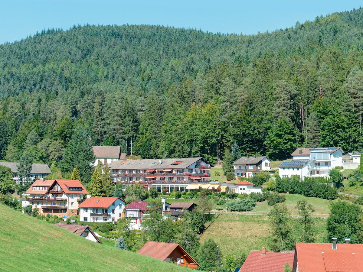 Hotel Waldlust Baiersbronn Extérieur photo