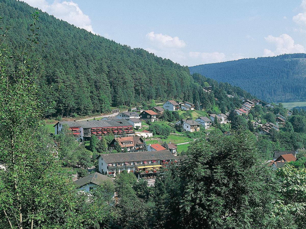 Hotel Waldlust Baiersbronn Extérieur photo