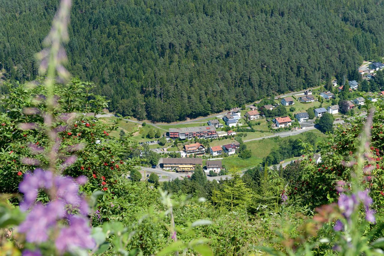 Hotel Waldlust Baiersbronn Extérieur photo